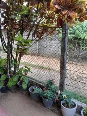 Room for Rent in Malabe