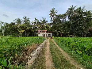 House with Land imbulgoda