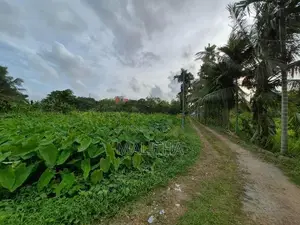 House with Land imbulgoda