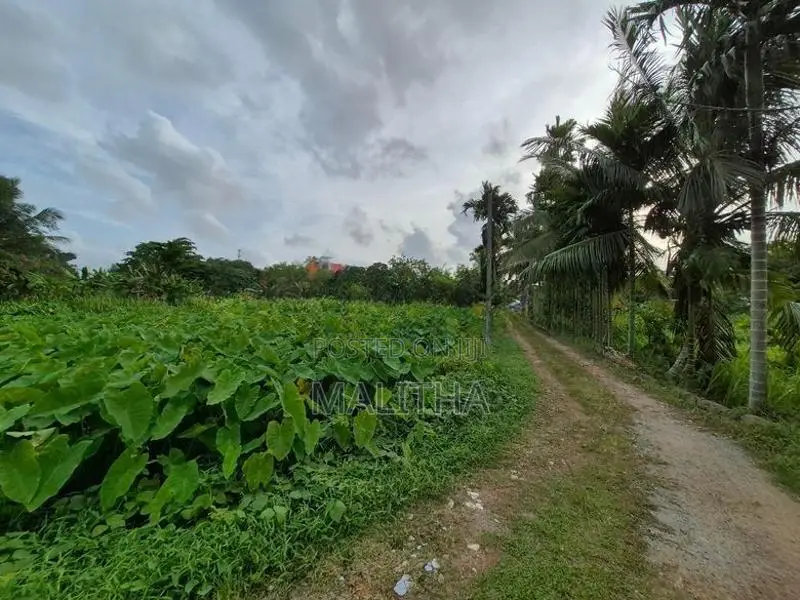 House with Land imbulgoda