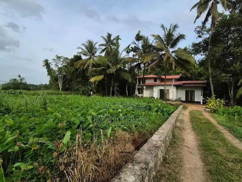 House with Land imbulgoda
