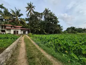 House with Land imbulgoda