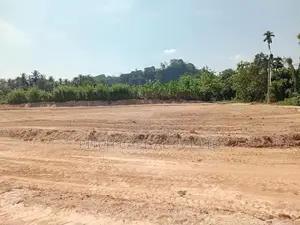 හෝමාගම ආටිගල වටිනා ඉඩමක්