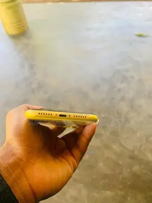 Apple iPhone 11 (Used)