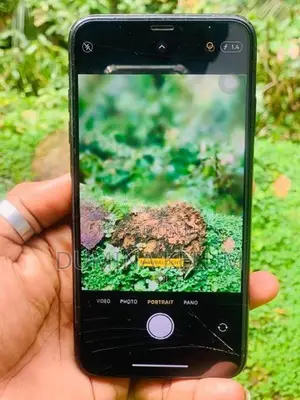 Apple iPhone XS Max (Used)