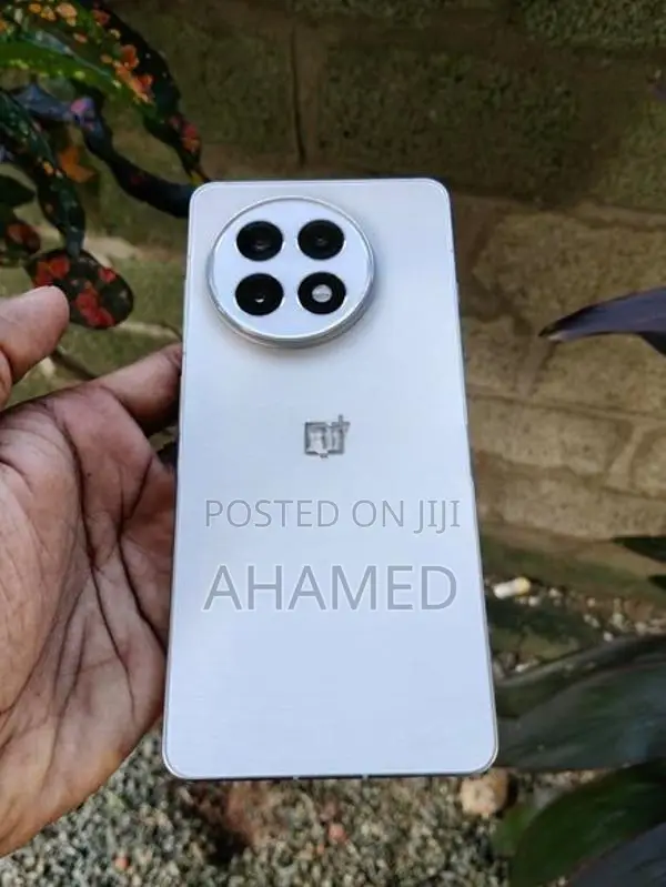 OnePlus 13R (Used)