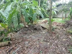 Super Land For Sale Maharagama