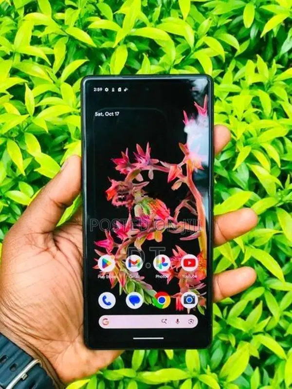 Google Pixel 6 (Used)