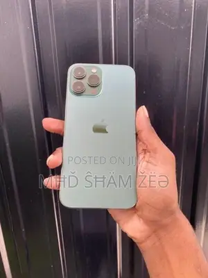 Apple iPhone 13 Pro Max Zp/A (Used)