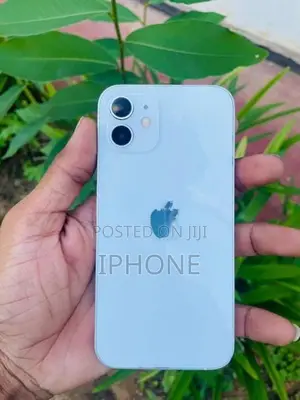 Apple iPhone 12 (Used)