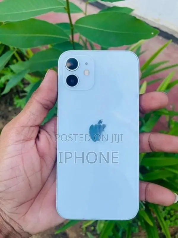 Apple iPhone 12 (Used)