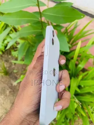 Apple iPhone 12 (Used)