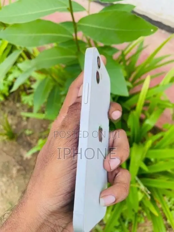 Apple iPhone 12 (Used)