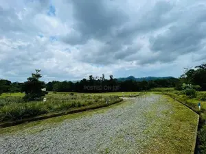 Land for Sale in Eheliyagoda
