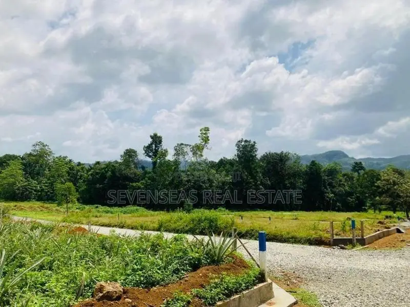 Eheliyagoda Land Sale