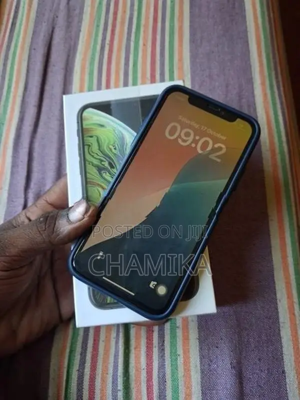 Apple iPhone XS 256GB (Used)