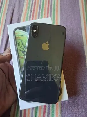 Apple iPhone XS 256GB (Used)