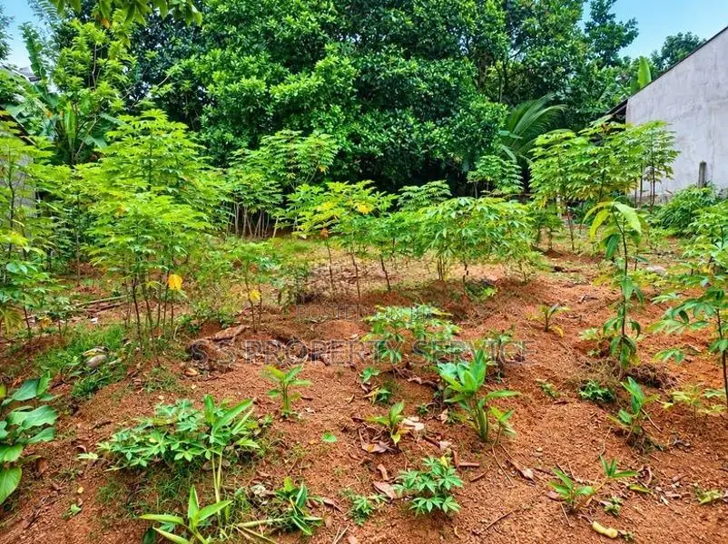 15 Perches Land For Sale In Kandana (Sspl-549)