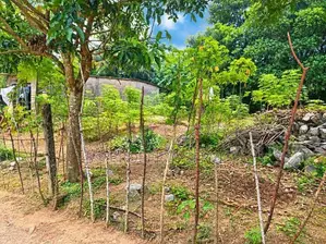 15 Perches Land For Sale In Kandana (Sspl-549)