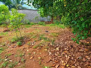 15 Perches Land For Sale In Kandana (Sspl-549)