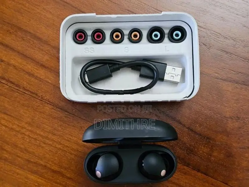 Sony WF-1000XM5 Wireless Noise-Cancelling Earbuds (Brand New Eartips)