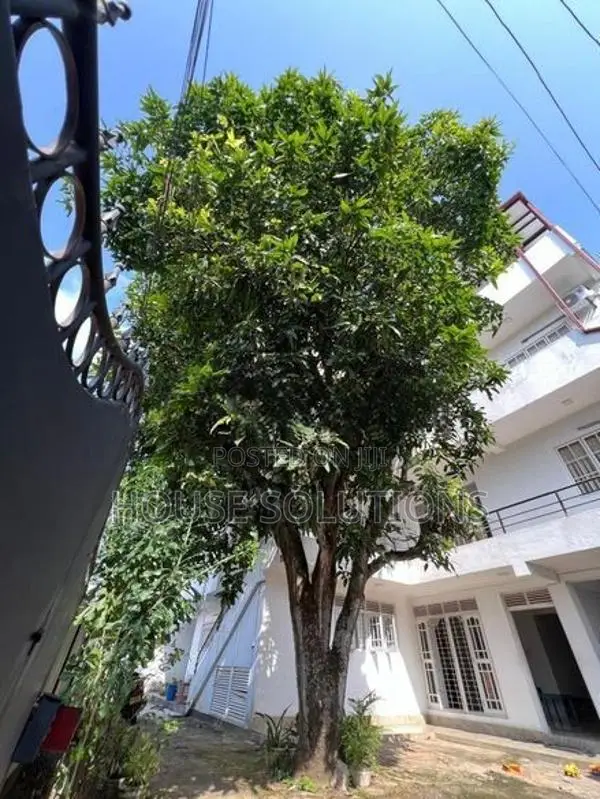 8 Unit House for Sale in Mtlavinia