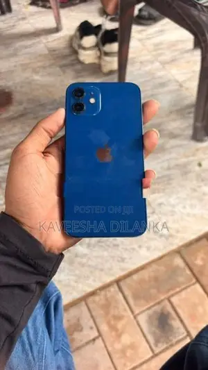 Apple iPhone 12 (Used)