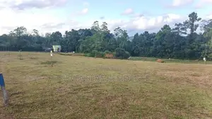 Best Land for Sale Eheliyagoda