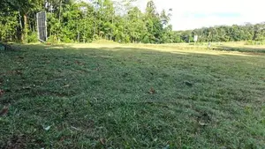 Land for Sale in Eheliyagoda