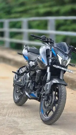 Bajaj Pulsar NS200 BS7 2025