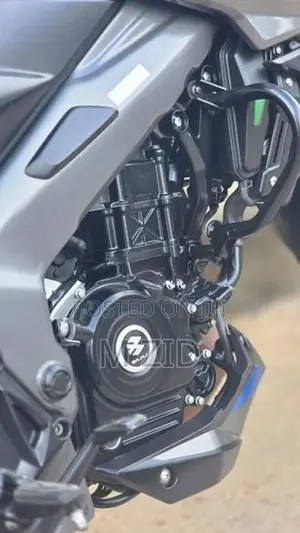 Bajaj Pulsar NS200 BS7 2025