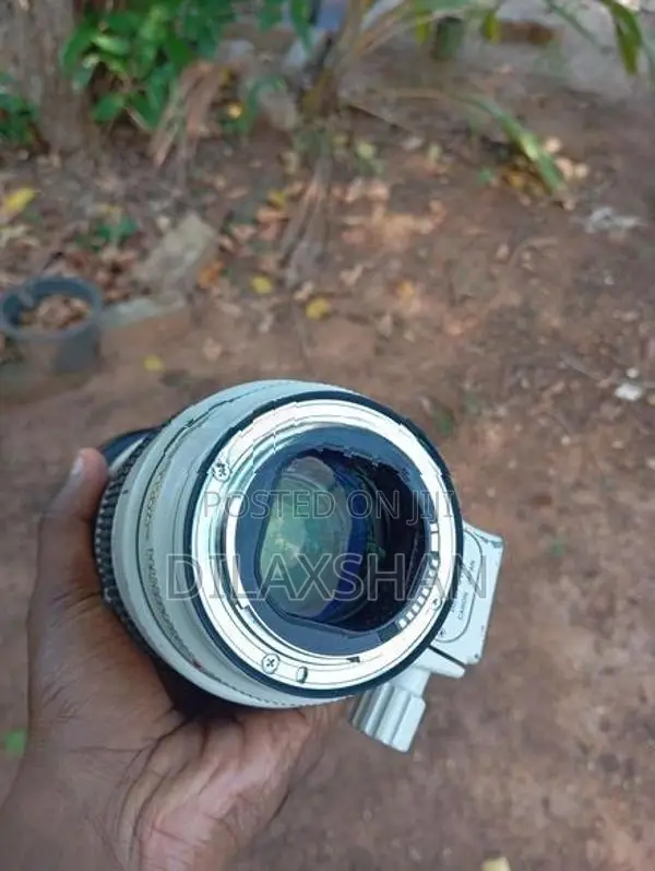 Canon EF 70-200mm 2.8 IS II USM