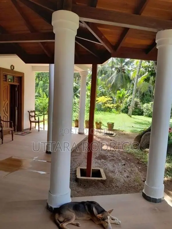 Room at Welivita