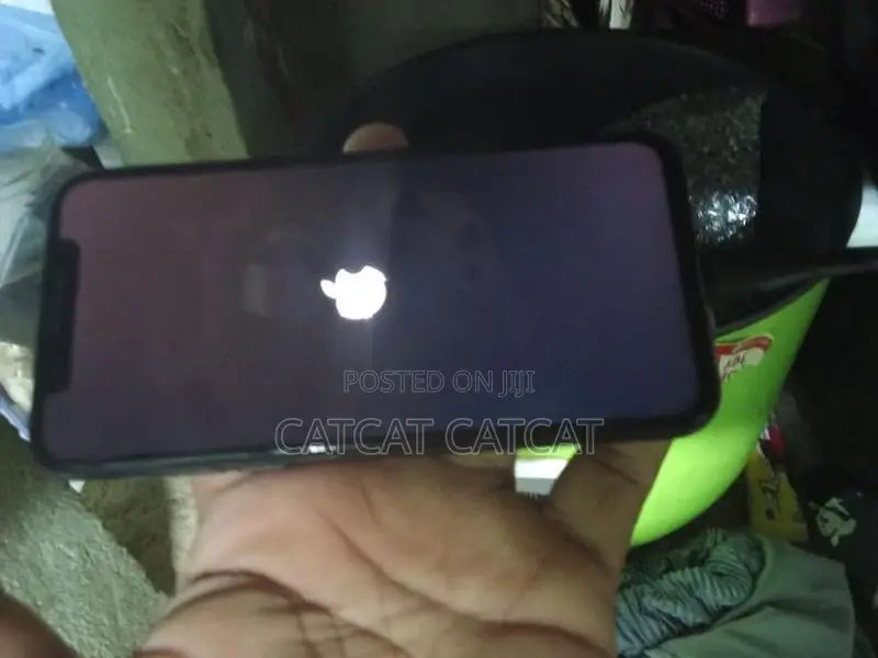 Apple iPhone X 128GB (Used)