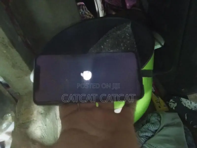 Apple iPhone X 128GB (Used)