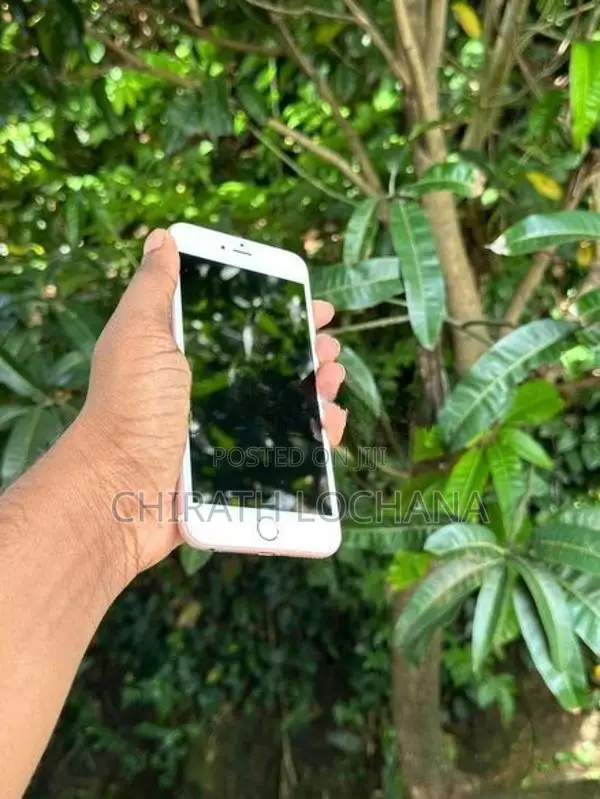 Apple iPhone 6 Plus (Used)