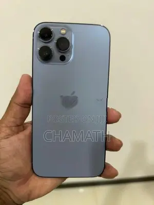 Apple iPhone 13 Pro Max (Used)