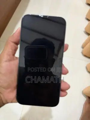 Apple iPhone 13 Pro Max (Used)