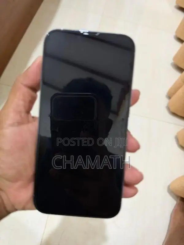 Apple iPhone 13 Pro Max (Used)