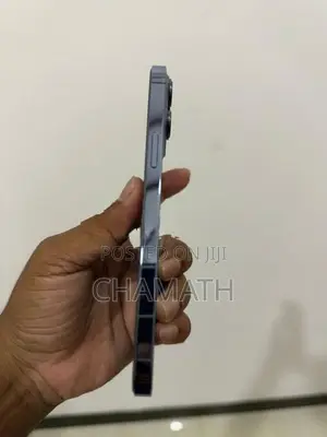 Apple iPhone 13 Pro Max (Used)