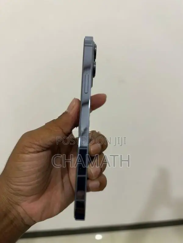 Apple iPhone 13 Pro Max (Used)
