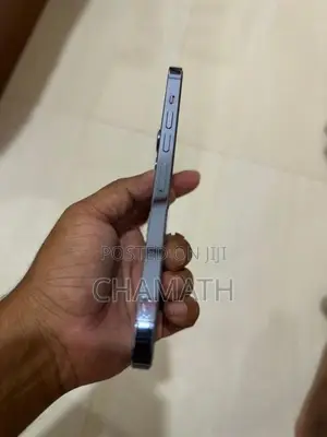 Apple iPhone 13 Pro Max (Used)