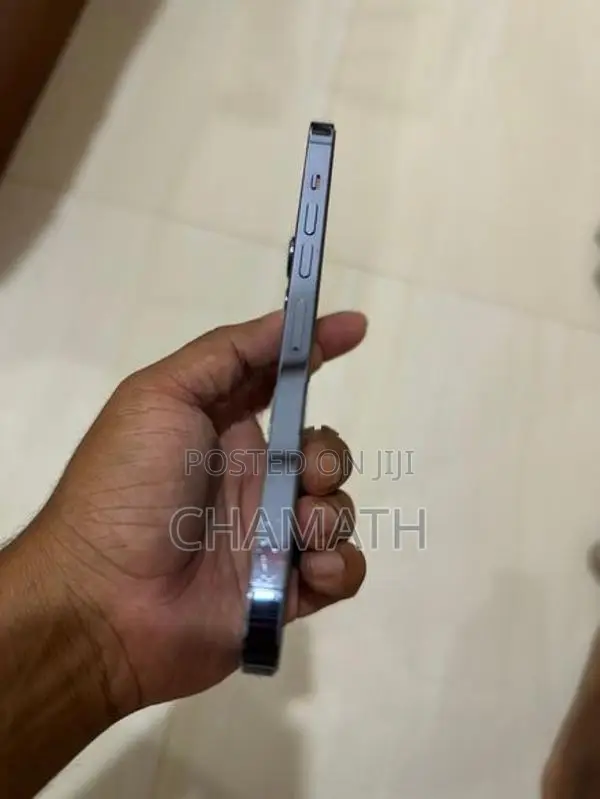 Apple iPhone 13 Pro Max (Used)