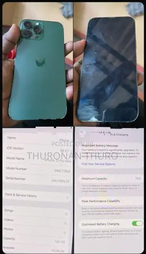 Apple iPhone 13 Pro Max (Used)