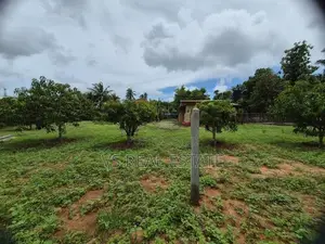 திருநெல்வேலி பலாலி வீதியில் 8.5 பரப்பு சிறந்த சதுரக் காணி விற்பனைக்கு
