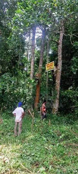 Land For in matale