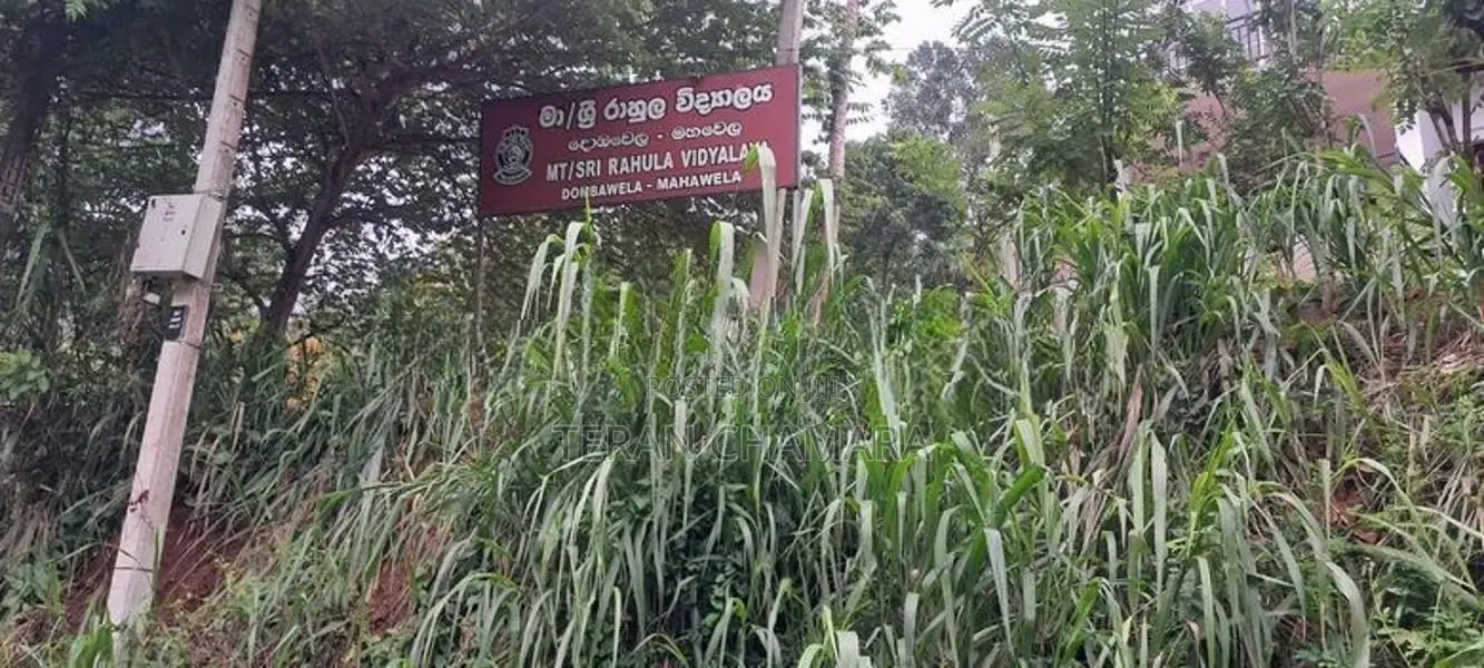 Land For in matale