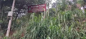 Land For in matale