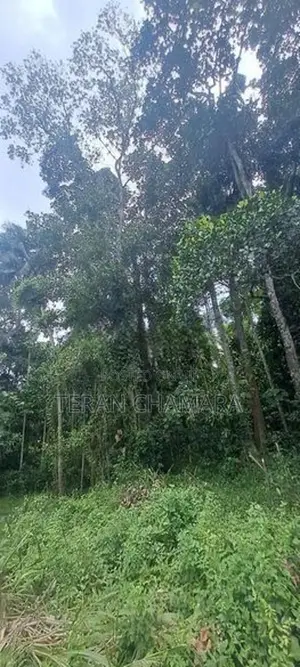 Land For in matale