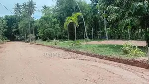 කටාන මීගමුව පාරට මීට්ර් 500 ක් දුරින් බිම්කොටස්